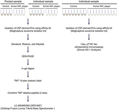 Proteomic Profiling of Extracellular Vesicles Isolated From Cerebrospinal Fluid of Former National Football League Players at Risk for Chronic Traumatic Encephalopathy